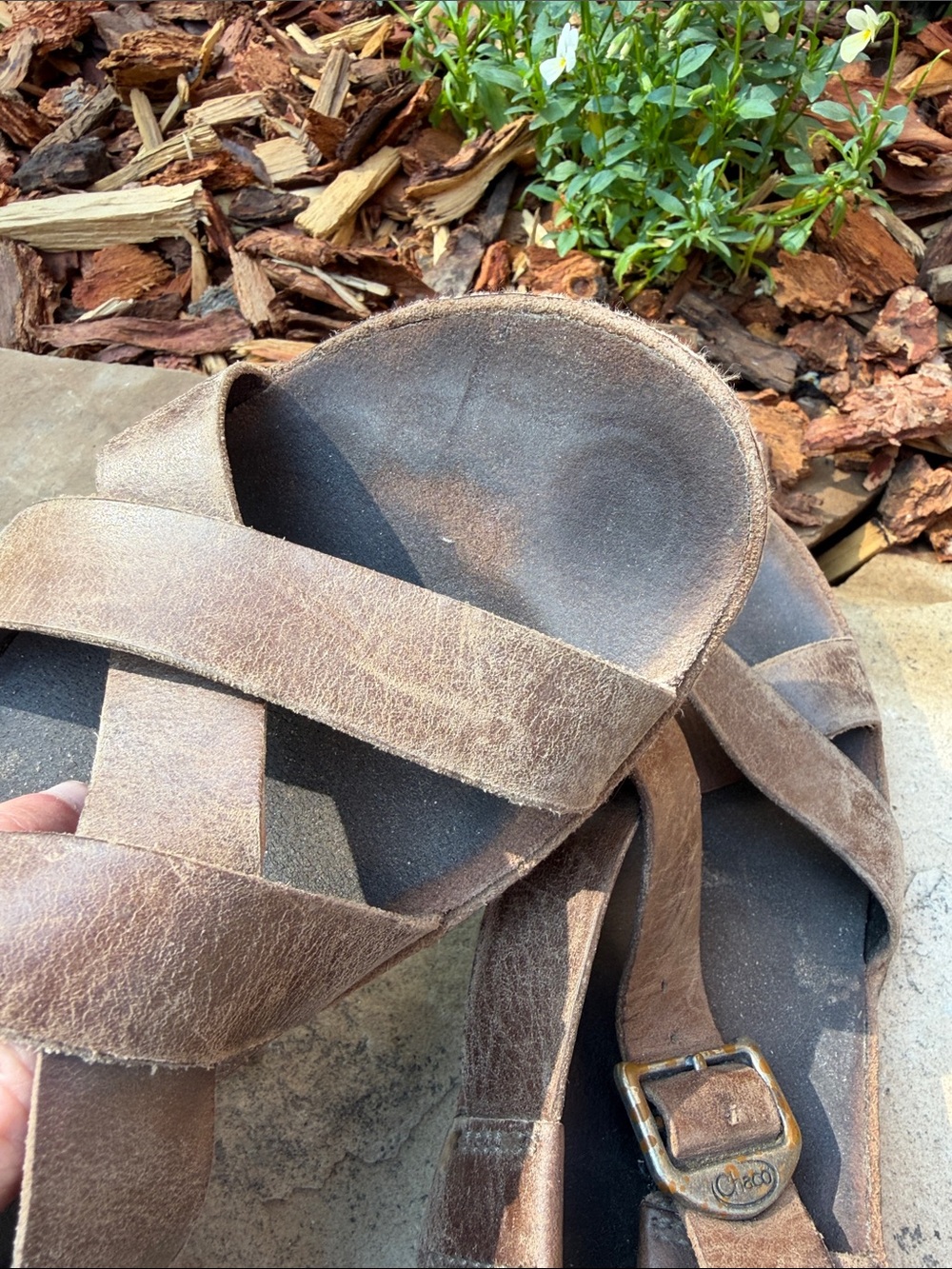 Chaco Brown Leather Cross-Strap Buckle Sandals - Picture 6 of 7